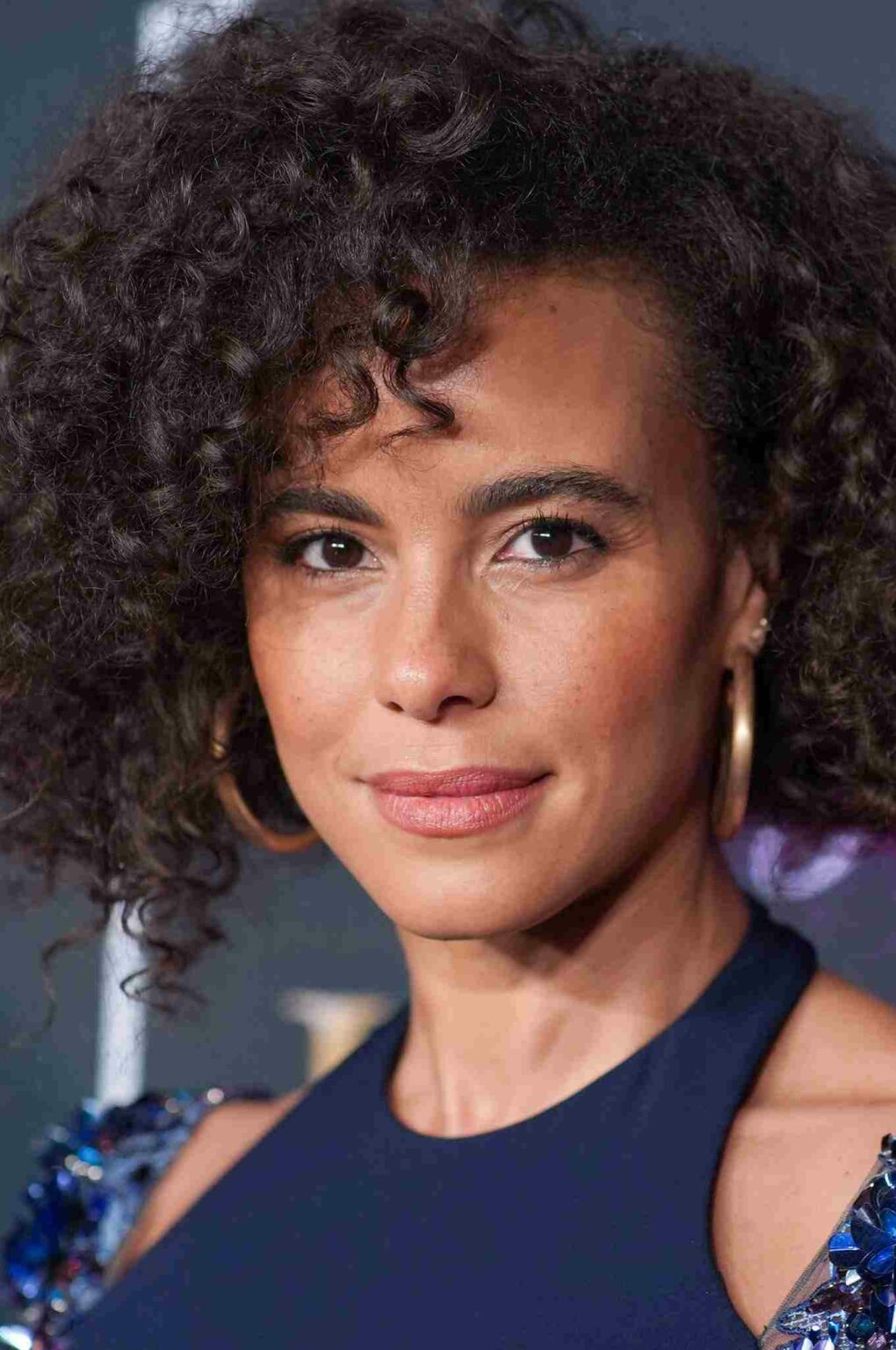 Parisa Fitz-Henley | Full Bio, Age, Husband, Net worth 2022